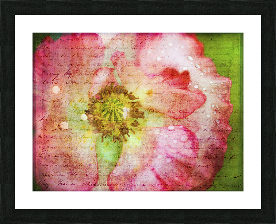 Captivating Poppy Picture Frame print