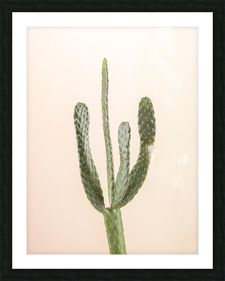 Desert Jewel Picture Frame print