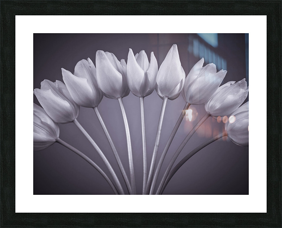 Floral Symphony Picture Frame print