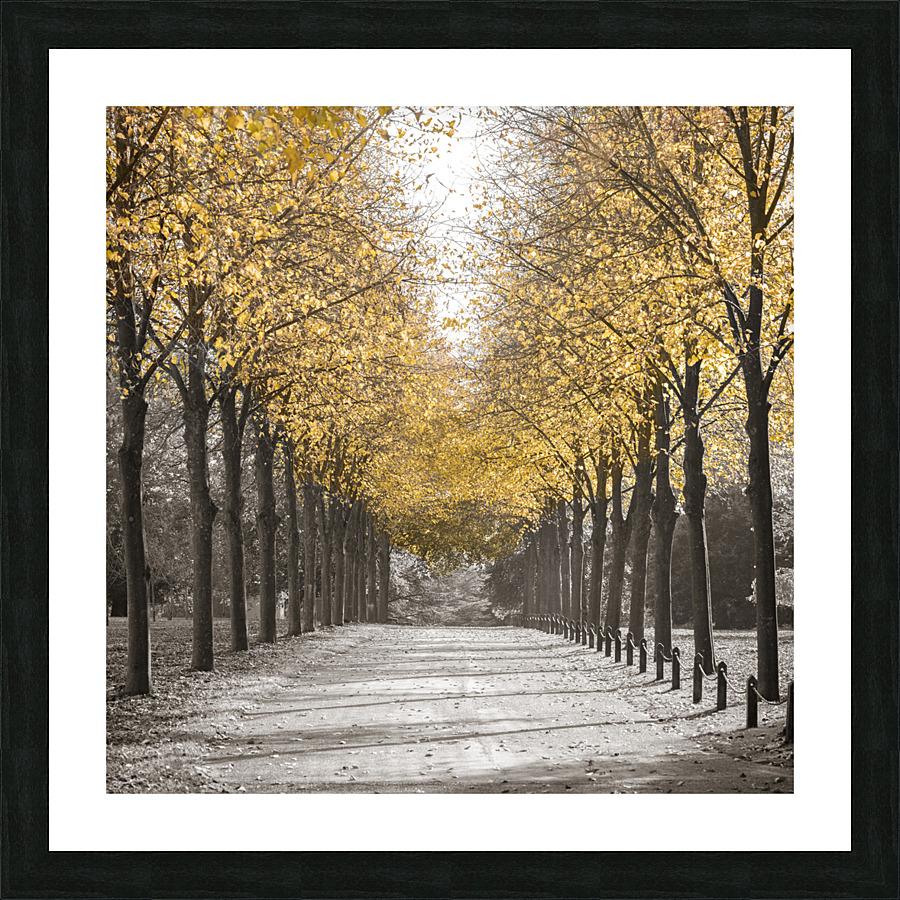 White Gold Picture Frame print