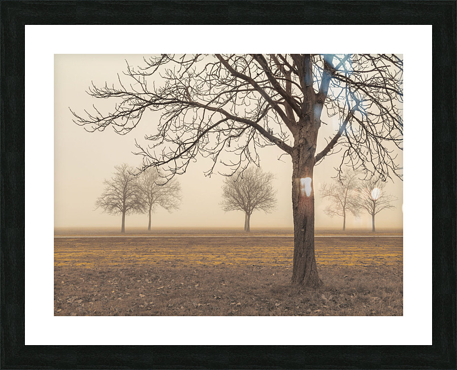 Misty Countryside Picture Frame print