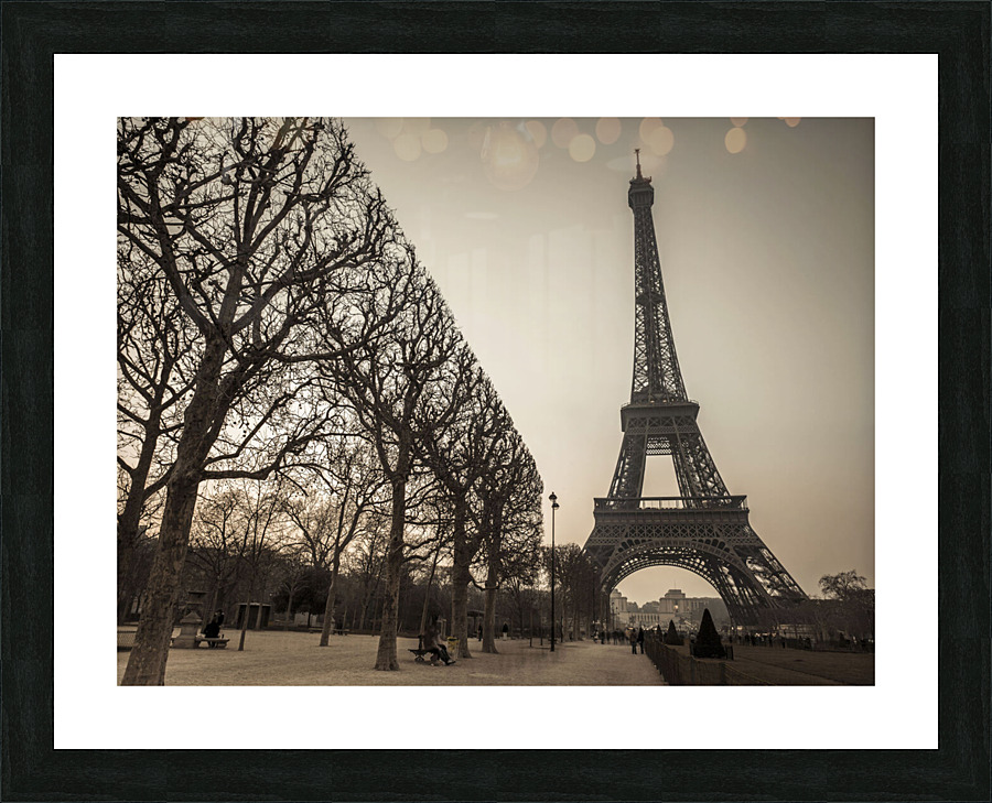 Iconic Elegance Picture Frame print