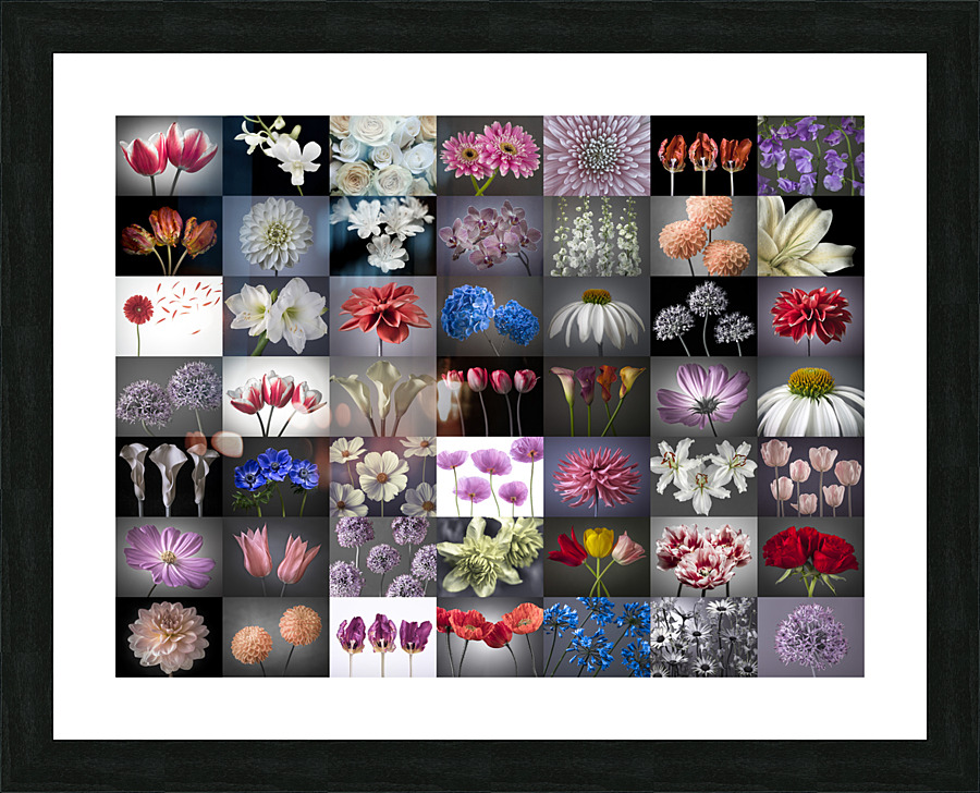 Flowers Collage Picture Frame print
