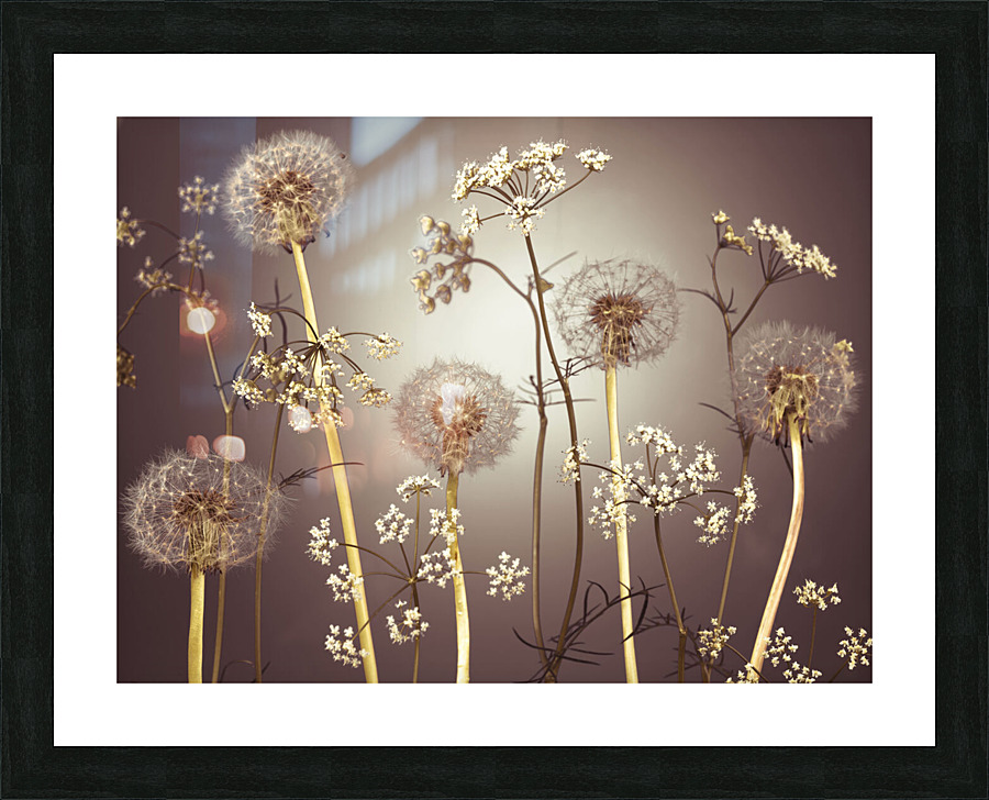 Blooms Picture Frame print