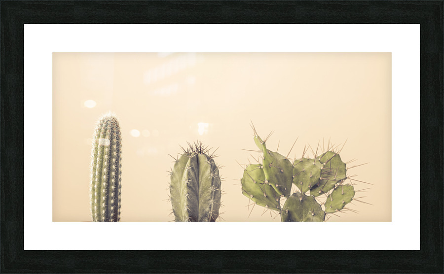 Spiky Delights Picture Frame print