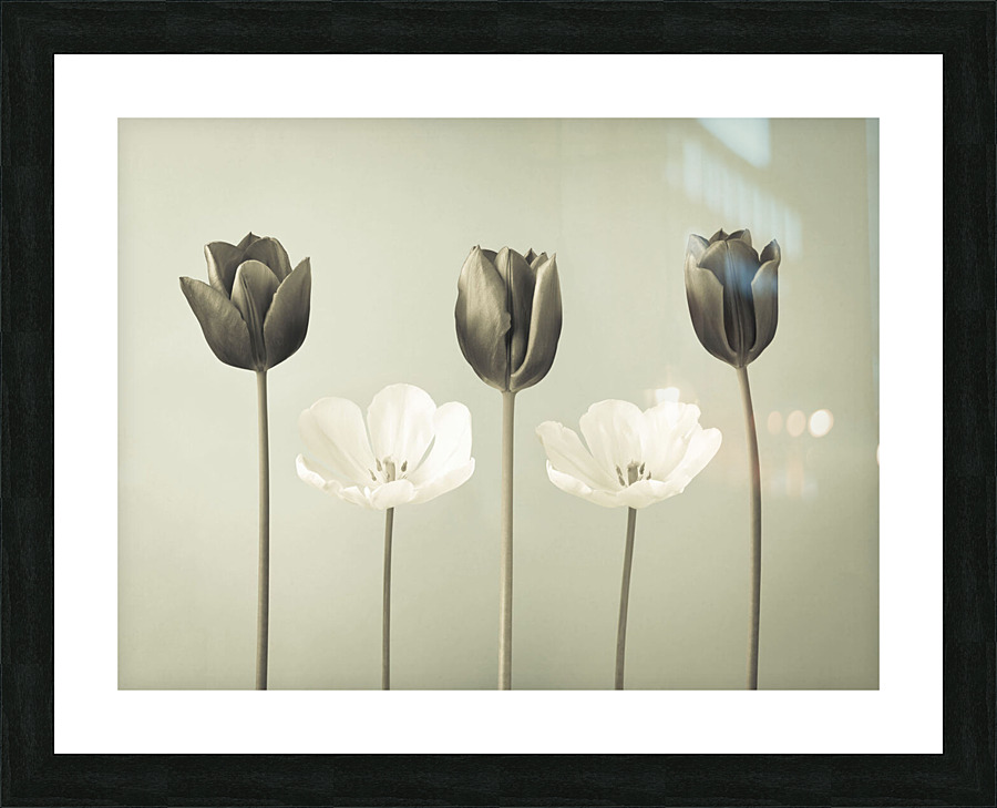 Monochromatic Harmony Picture Frame print