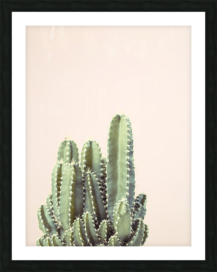 Cacti Picture Frame print