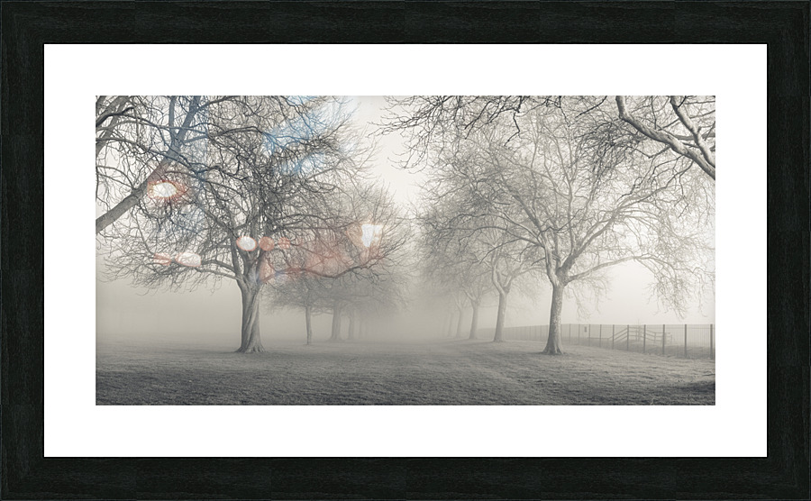 Whispering Woods Picture Frame print