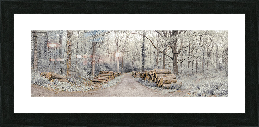 Stacked Logs in Forest Picture Frame print