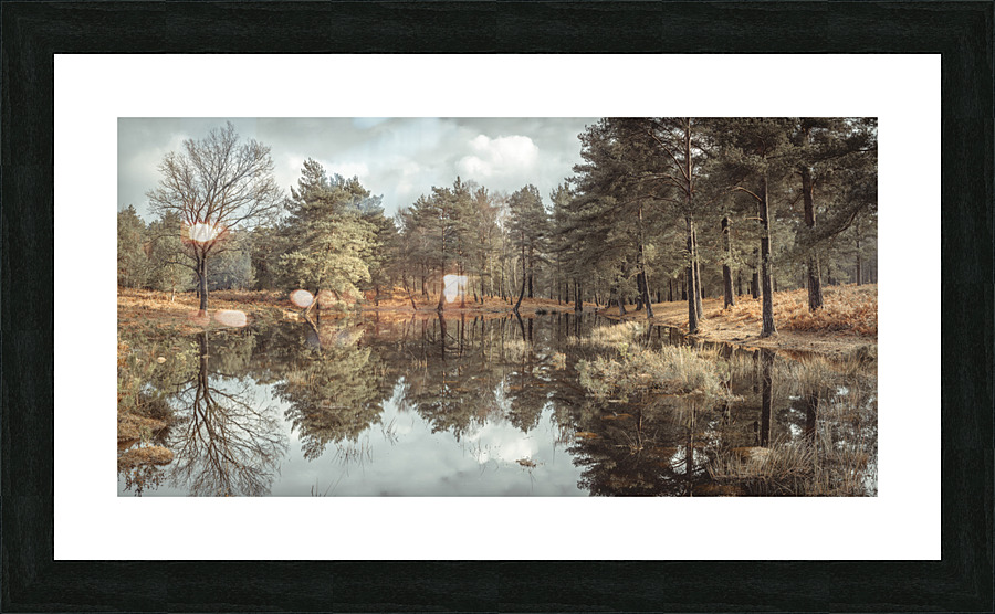 Trees by a lake Picture Frame print
