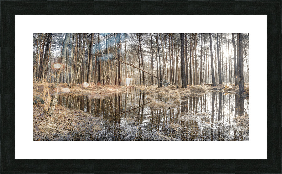 Forest reflections Picture Frame print