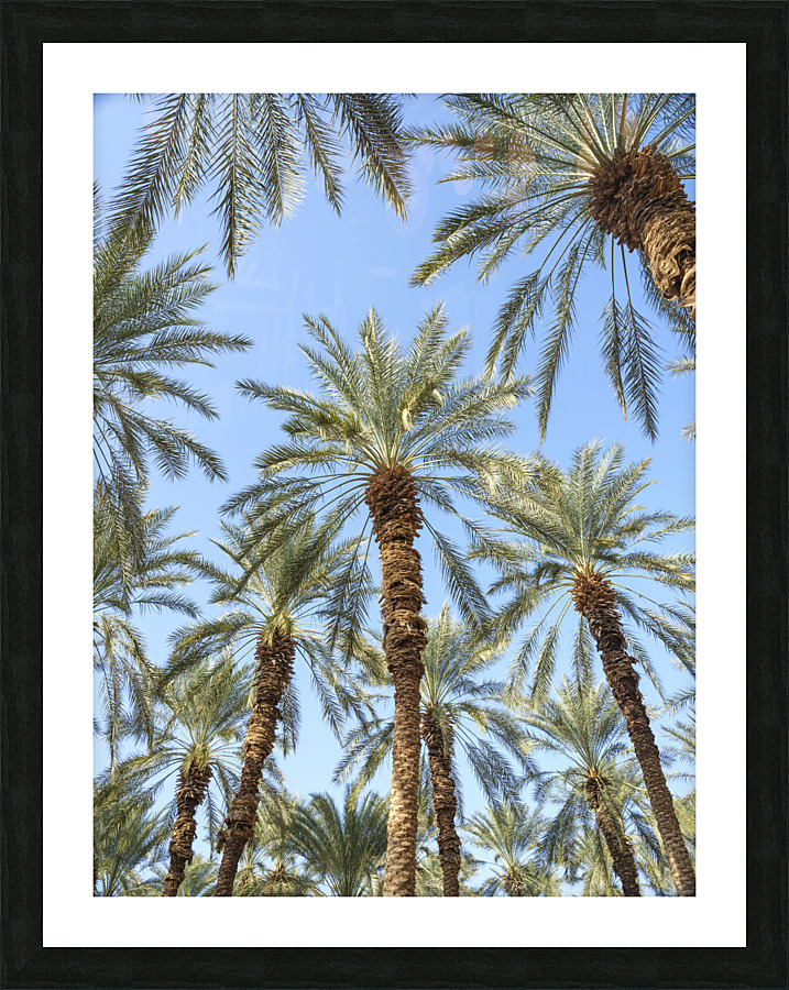 Keep Palm and carry on Picture Frame print