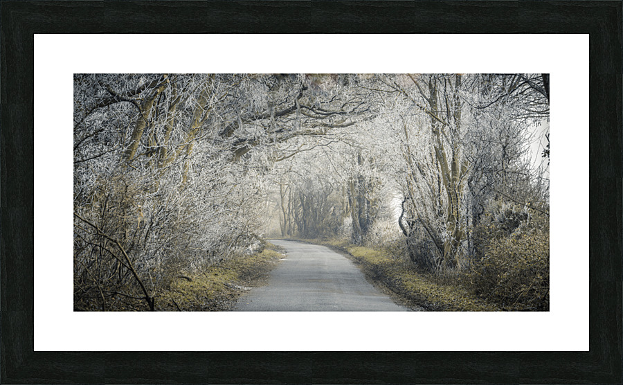 Frosted road through forest Picture Frame print