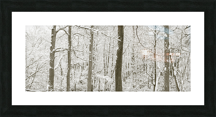 Snowy forest Picture Frame print