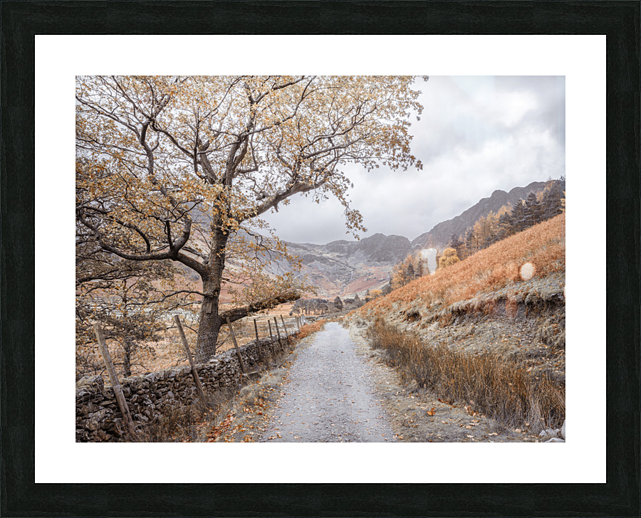 Tranquil Trails Picture Frame print