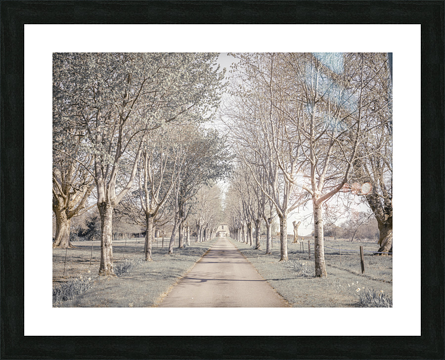 Natures Invitation Picture Frame print