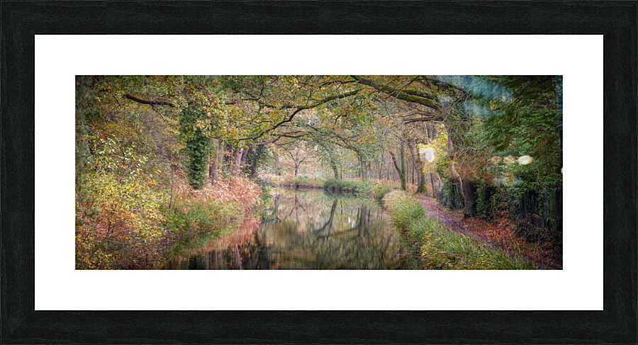 Journey through Forest Picture Frame print