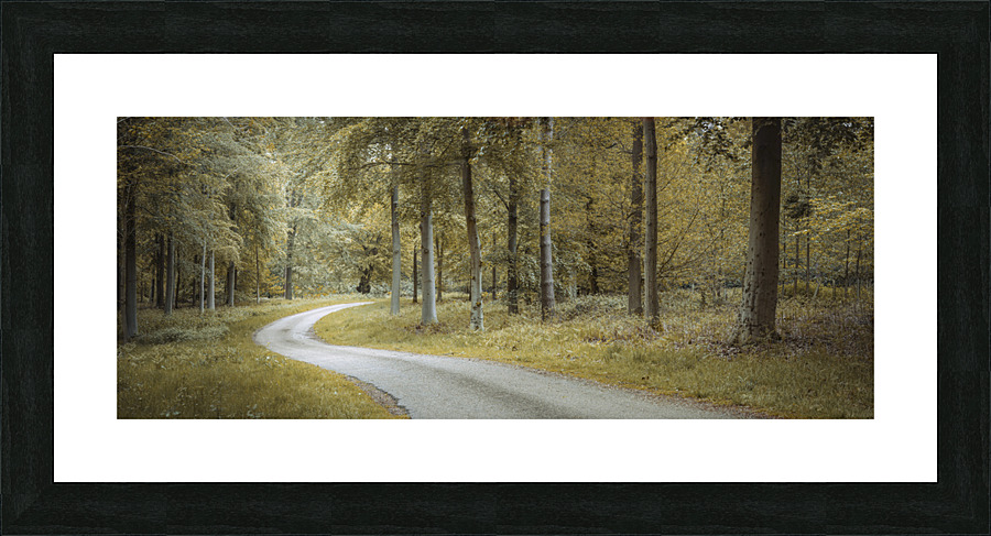 Road through forest Picture Frame print