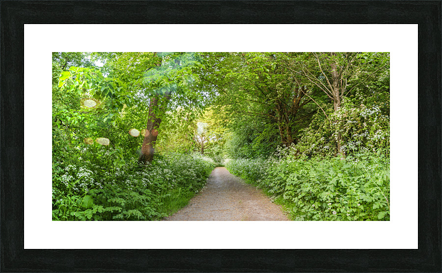 Woodland spring path Picture Frame print