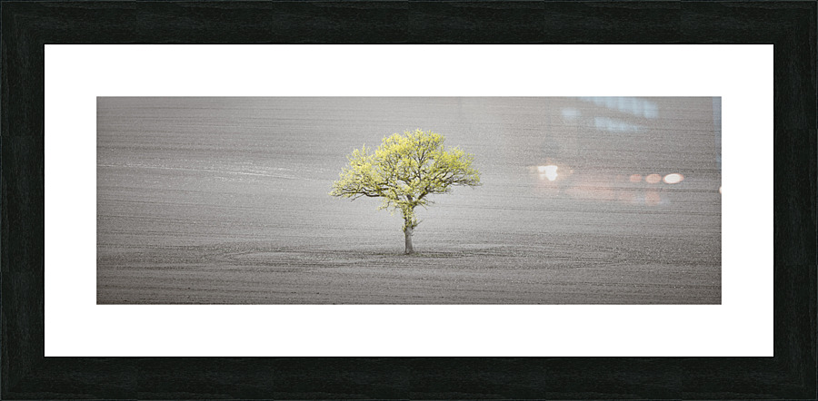 Standing Alone Picture Frame print