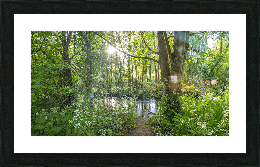 Spring woodland Picture Frame print