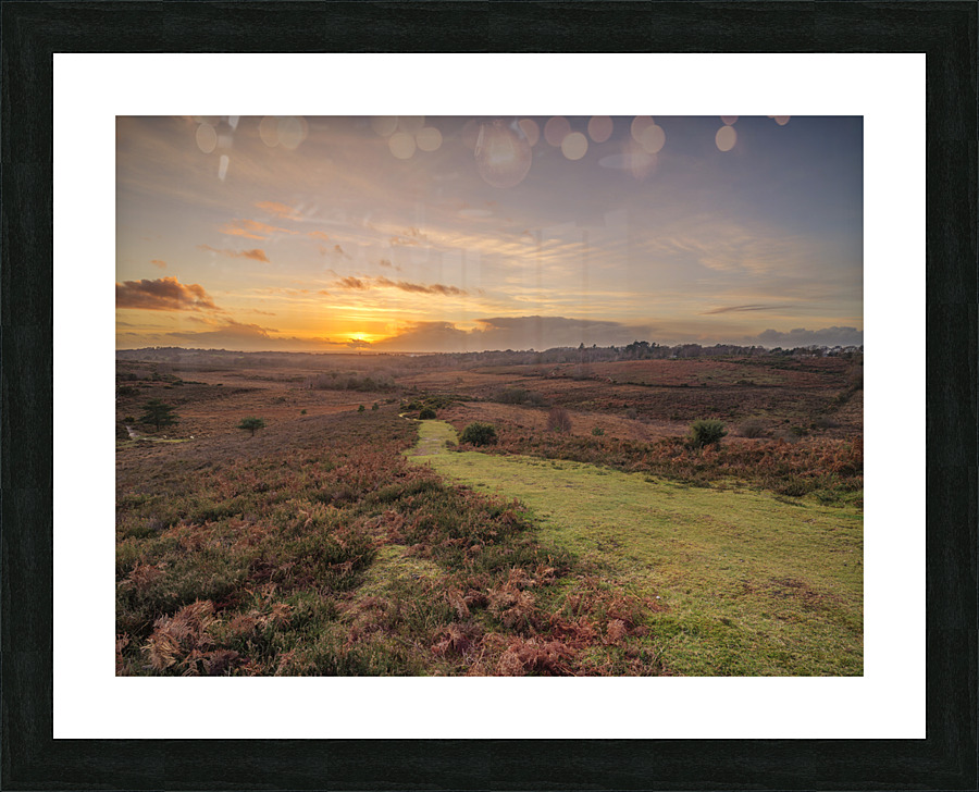 New Forest Sunset Picture Frame print