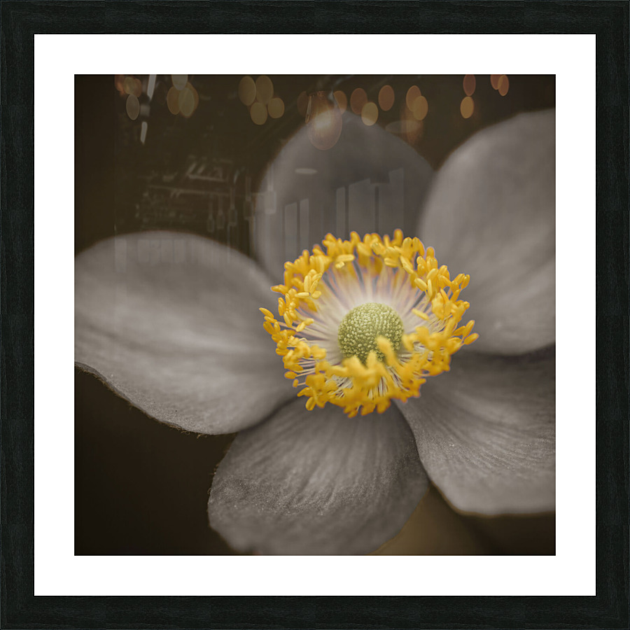 Delicate Perfection Picture Frame print