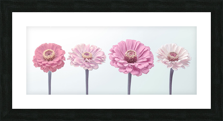 Vibrant Harmony Picture Frame print