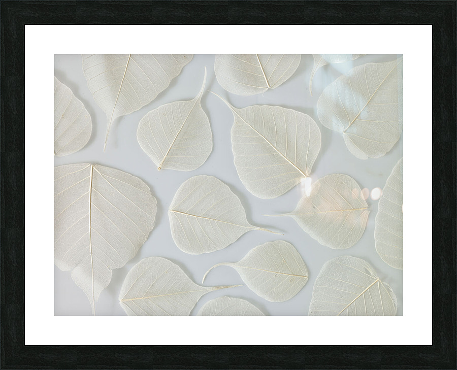 Skeleton Leaves Picture Frame print