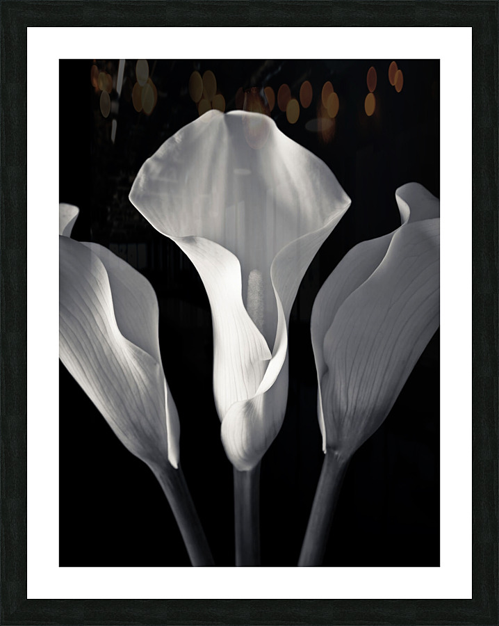 Harmonious Bloom Picture Frame print