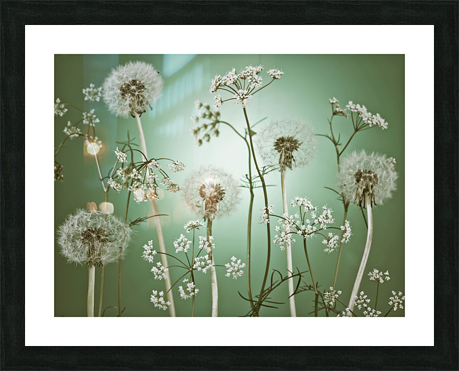Meadow Flowers Picture Frame print