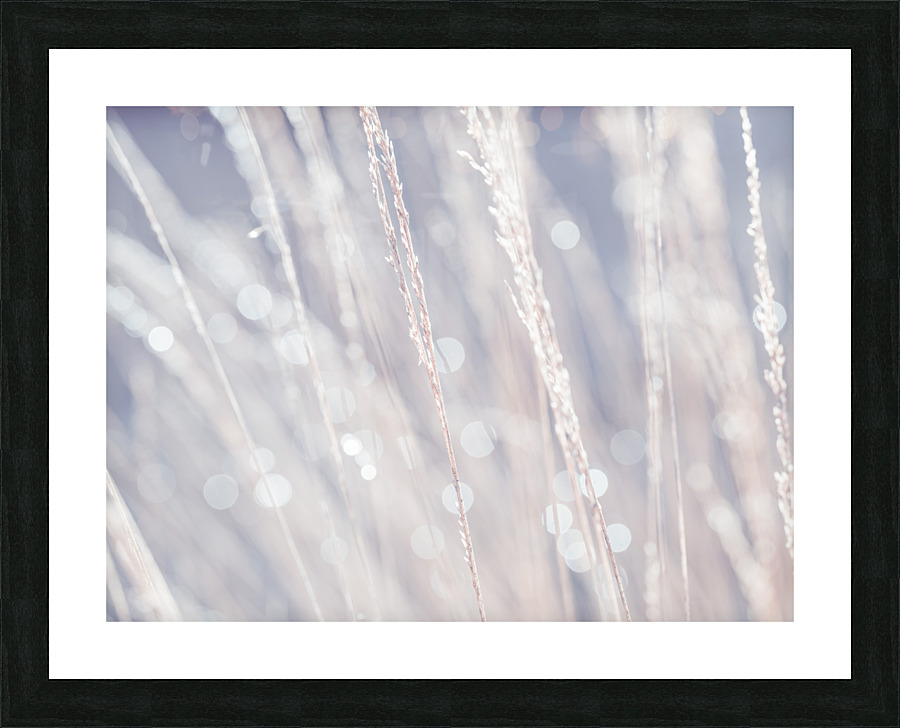 Reeds Picture Frame print