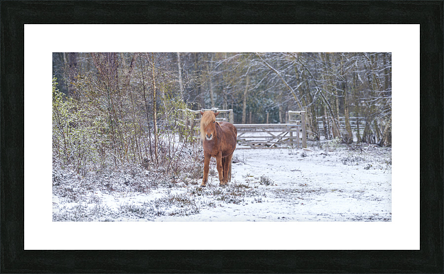 Snowbound Majesty Picture Frame print