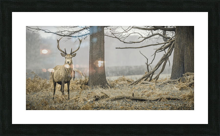 Regal Presence Picture Frame print