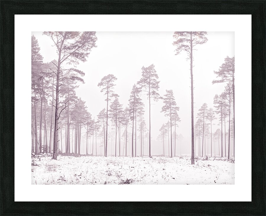 Snowy Forest Picture Frame print
