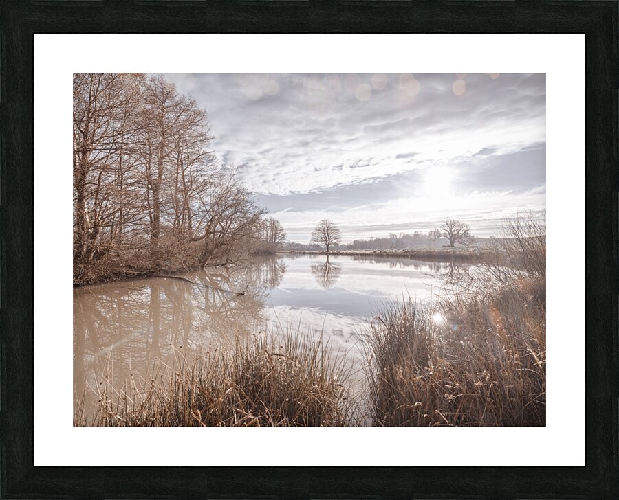 Pond reflection Picture Frame print