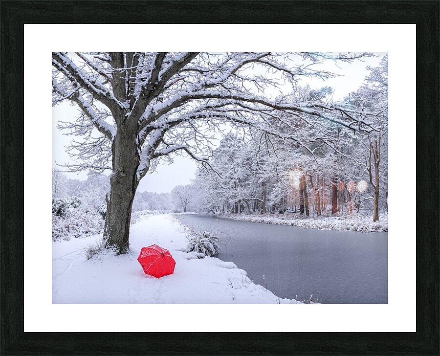 Oak tree and umbrella Picture Frame print