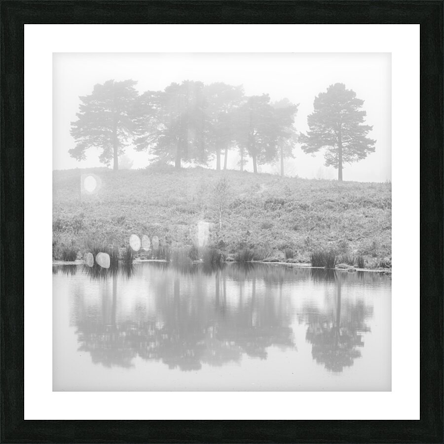 Mystical Reflections Picture Frame print
