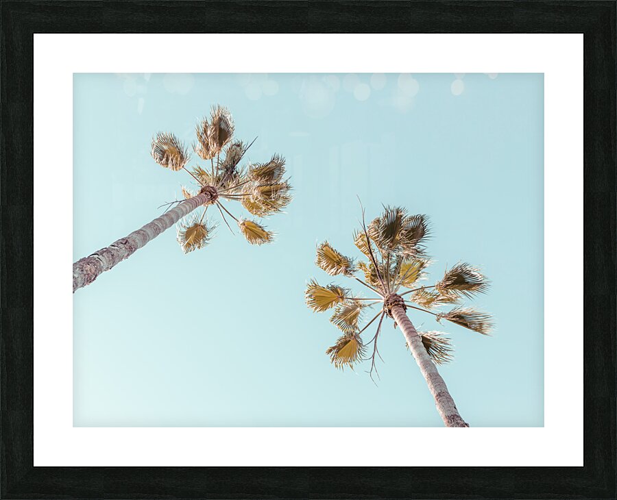 Palm trees Picture Frame print
