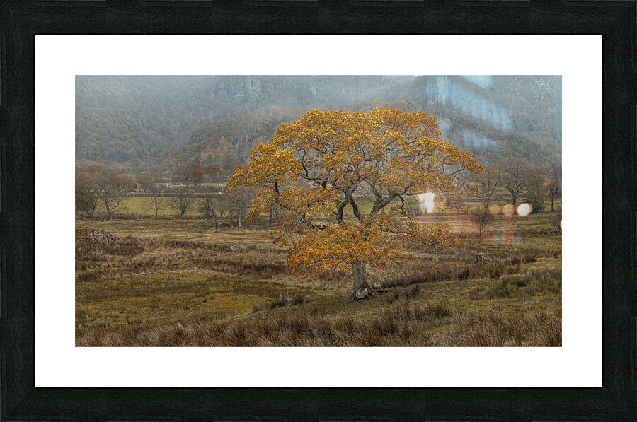 Autumns Splendor Picture Frame print