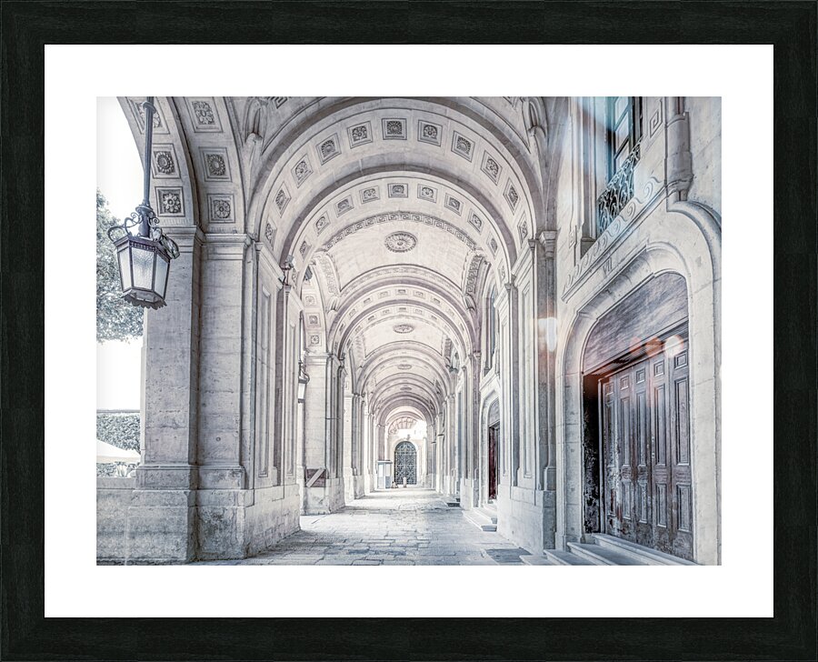 Architectural Heritage Picture Frame print