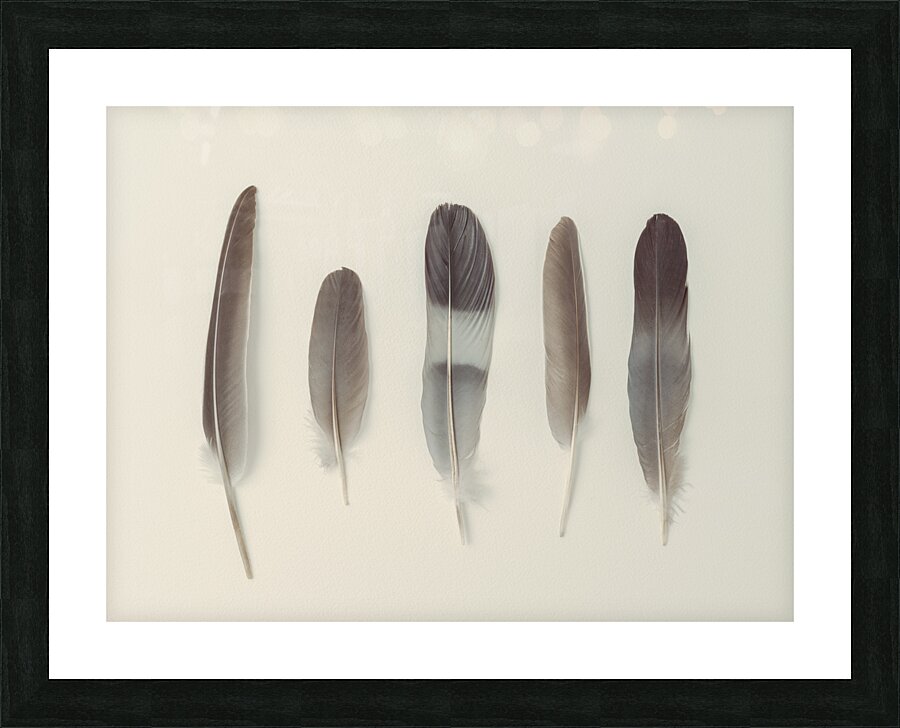 Subtle Harmony Picture Frame print