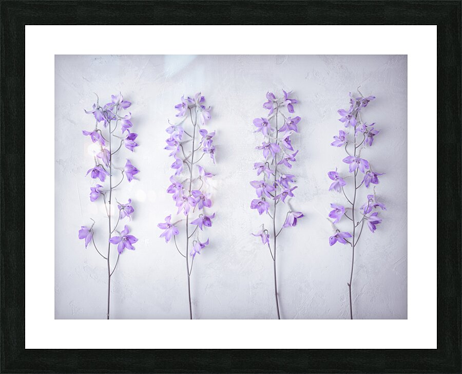Delphiniums Picture Frame print