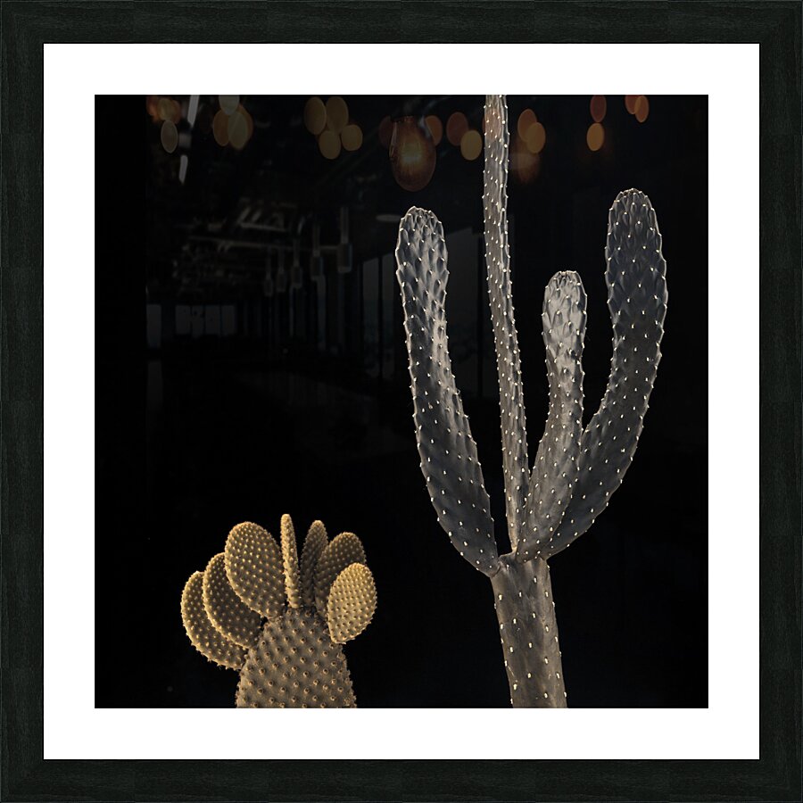 Cactus plants Picture Frame print