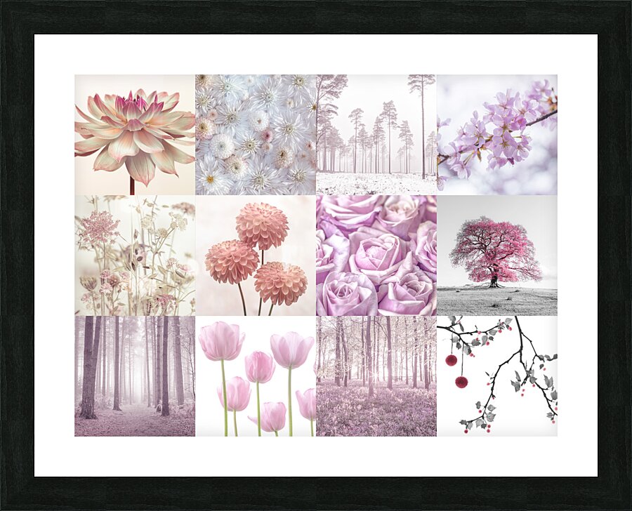 Pink Flora Set Picture Frame print