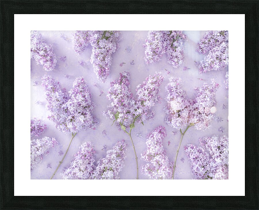 Lilac Flowers Picture Frame print
