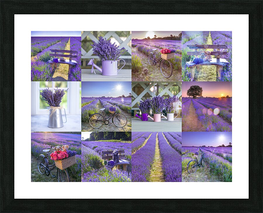 Lavender Collage Picture Frame print