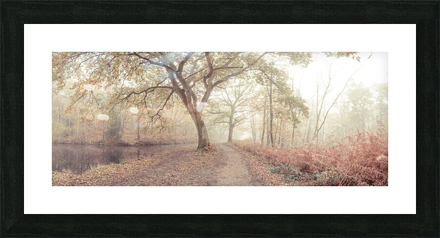 Misty forest Picture Frame print