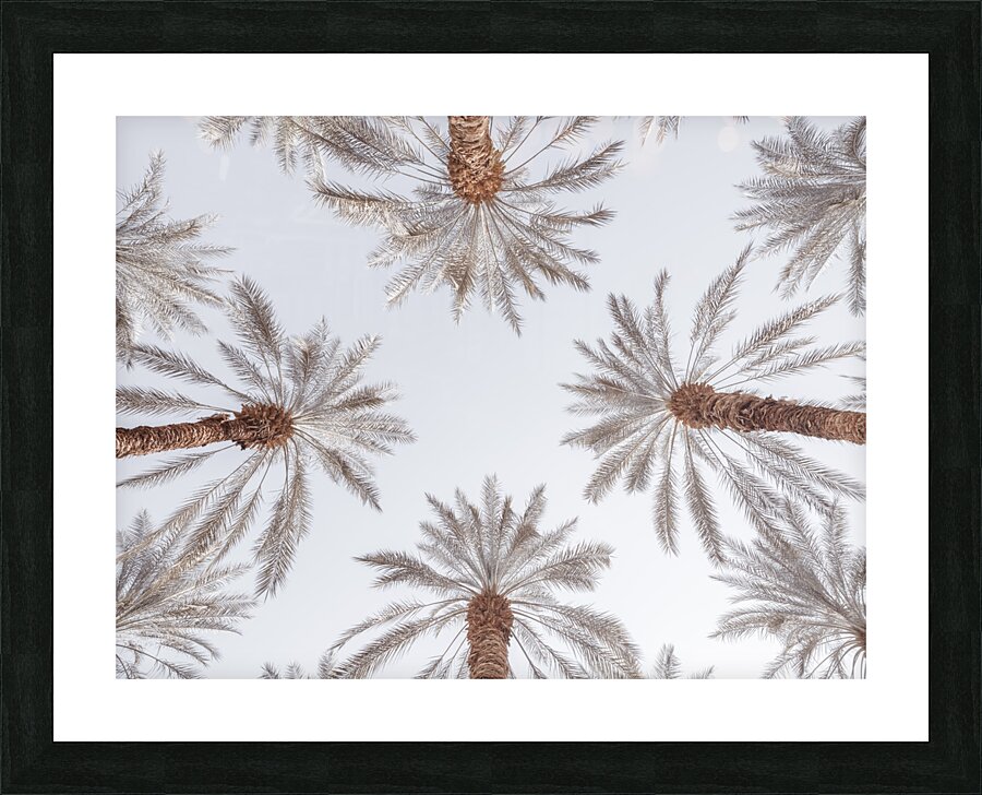 Palm Tops Picture Frame print