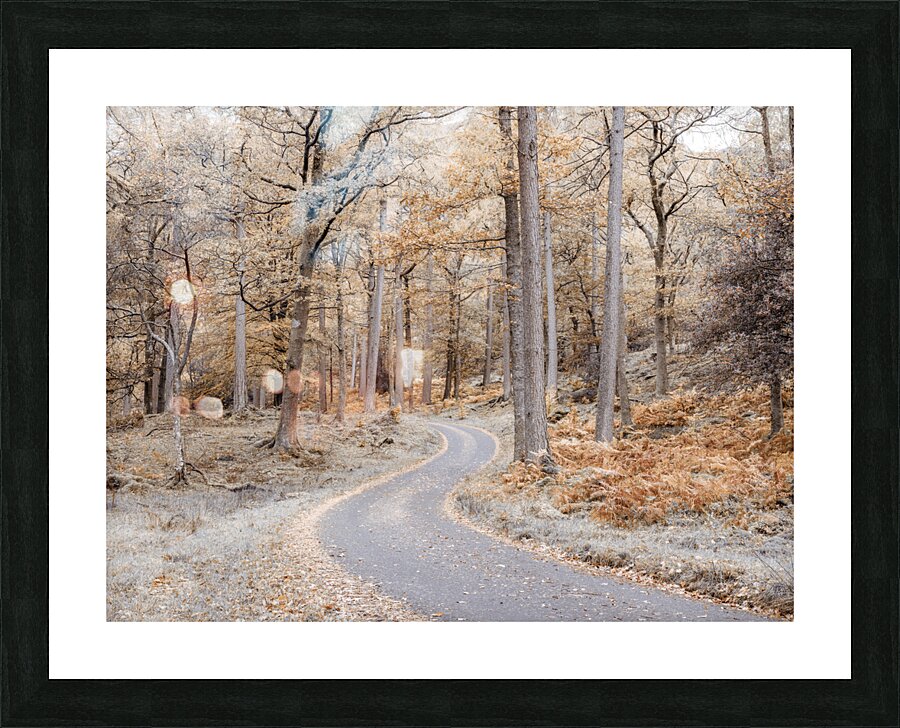 Make Your Own Path Picture Frame print